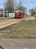 IMG_1631